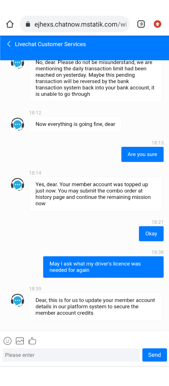 Chat conversation on scam site impersonating XEN