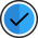 Check icon